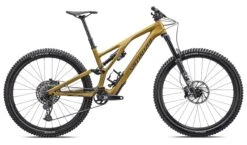 Specialized Stumpjumper Evo Comp