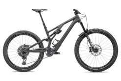 Specialized Stumpjumper EVO LTD