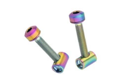 Bolt/Barrel Nut Set For Resolve Dropper Post
